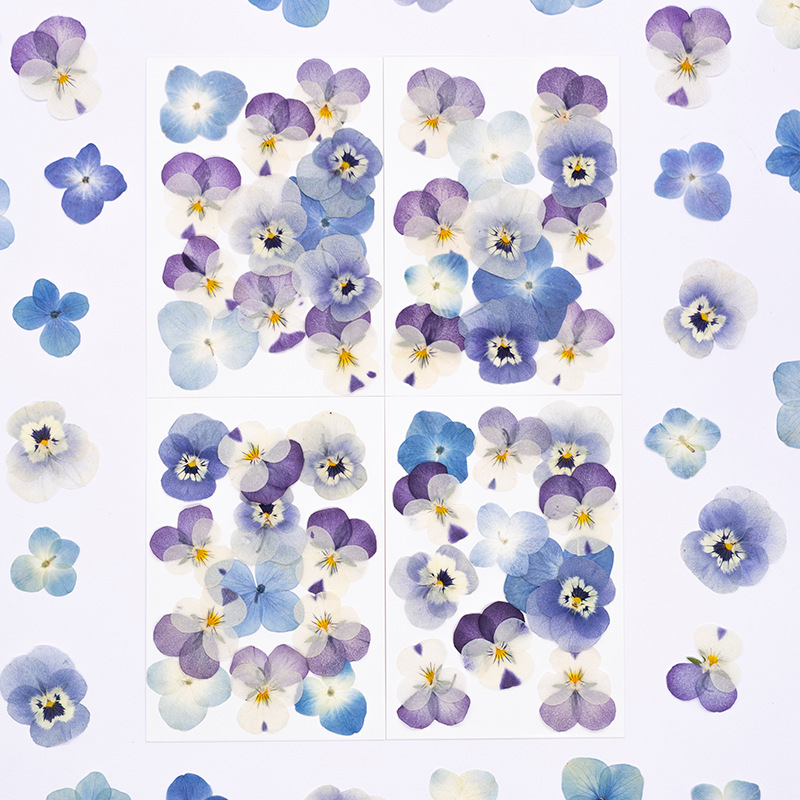 12 peças, Pétalas Naturais de  - Dried Flower Bookmark avaliação e preço